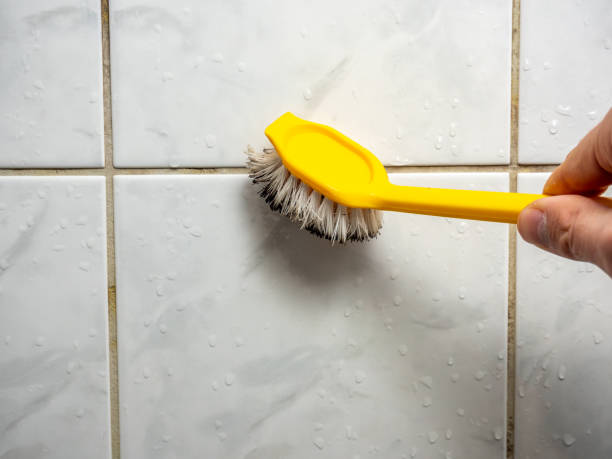 Best Fast Mold Removal  in Tashua, CT