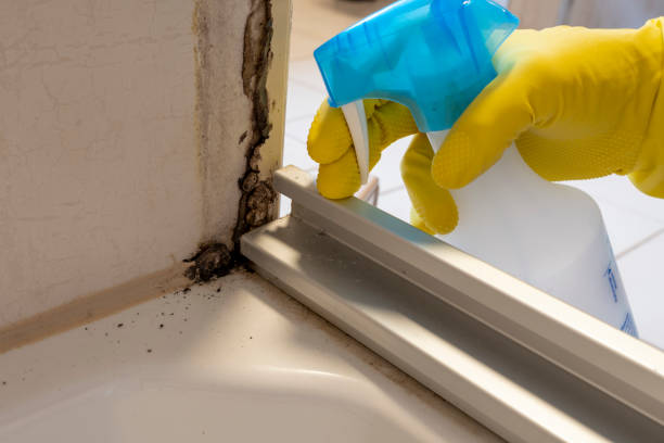 Water Damage Restoration in Tashua, CT