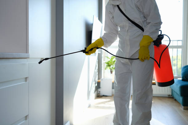 Crawl Space Mold Removal in Tashua, CT